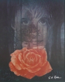 Rothe, Mystery Rose, Face, Flower